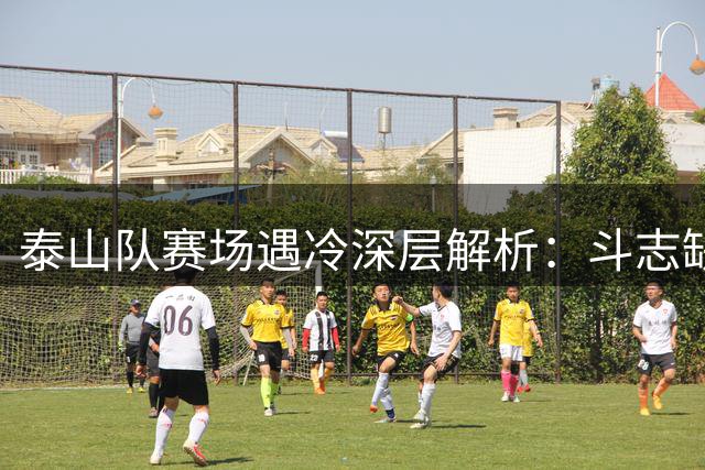泰山队赛场遇冷深层解析：斗志缺失与联赛格局双重困境